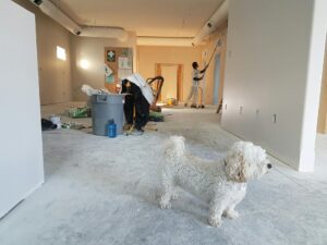 What is the Hardest Room To Renovate?