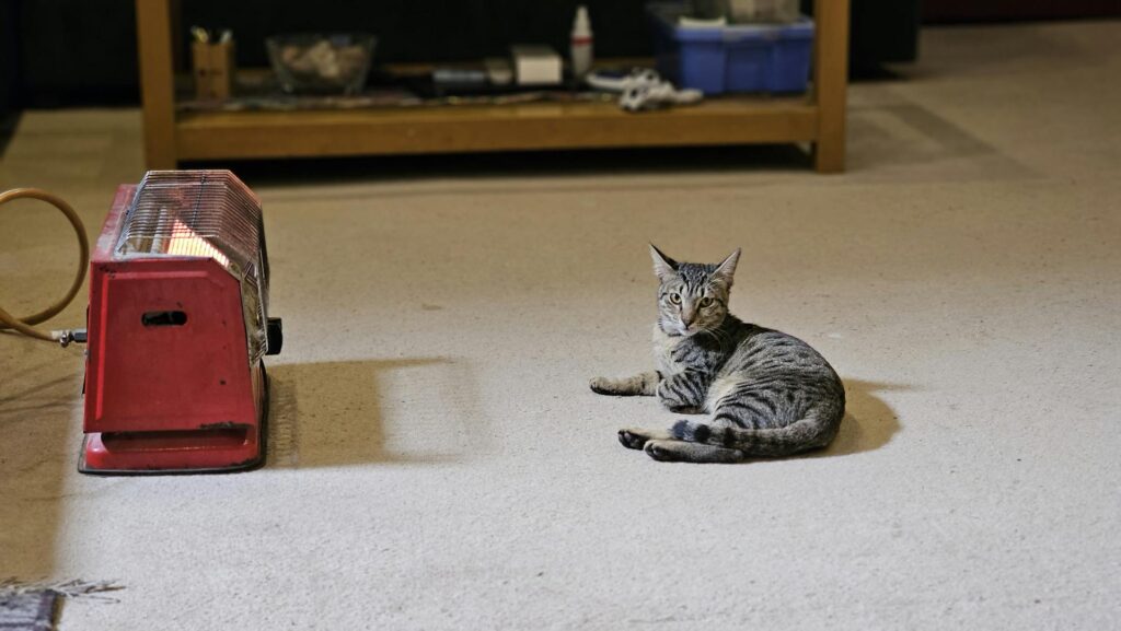 Is It Cheaper to Run Space Heaters Or Central Heat?