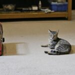 Is It Cheaper to Run Space Heaters Or Central Heat?