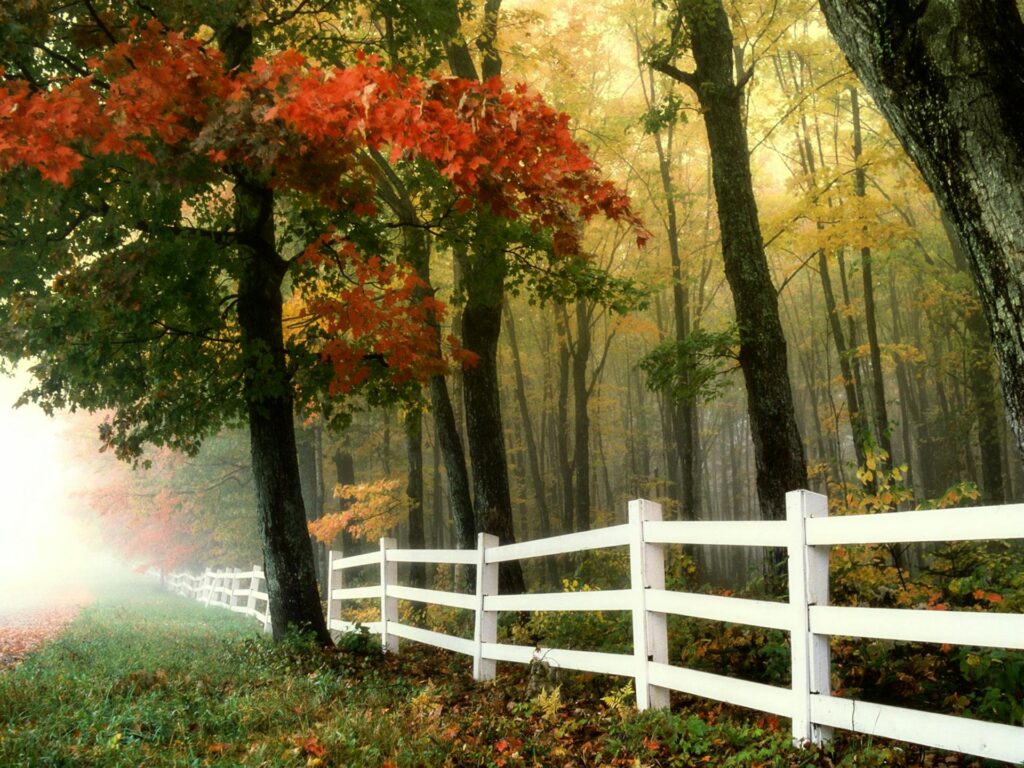 Can My Neighbour Build a Fence on the Property Line in Ontario?