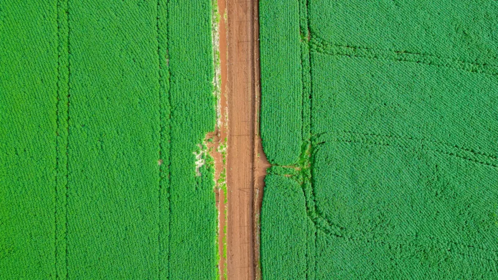 How Reliable Are Land Surveys?