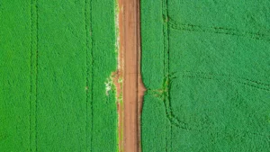 How Reliable Are Land Surveys?