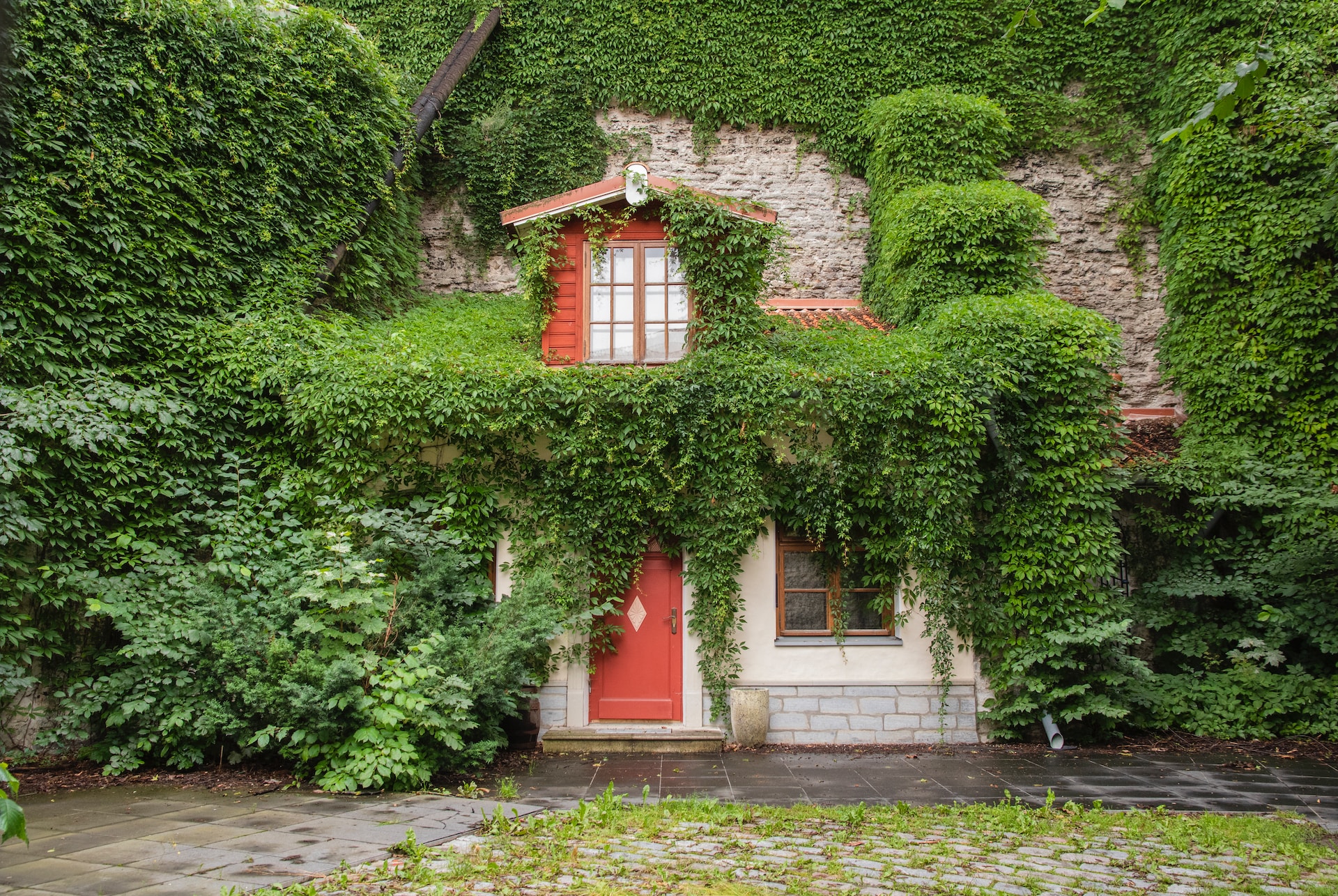 What are Some Real Estate Agent Services and Basics?