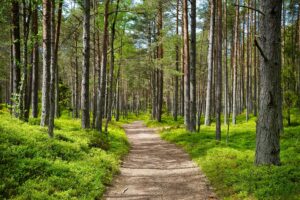 Where Does the Caledon Trailway Start and End?