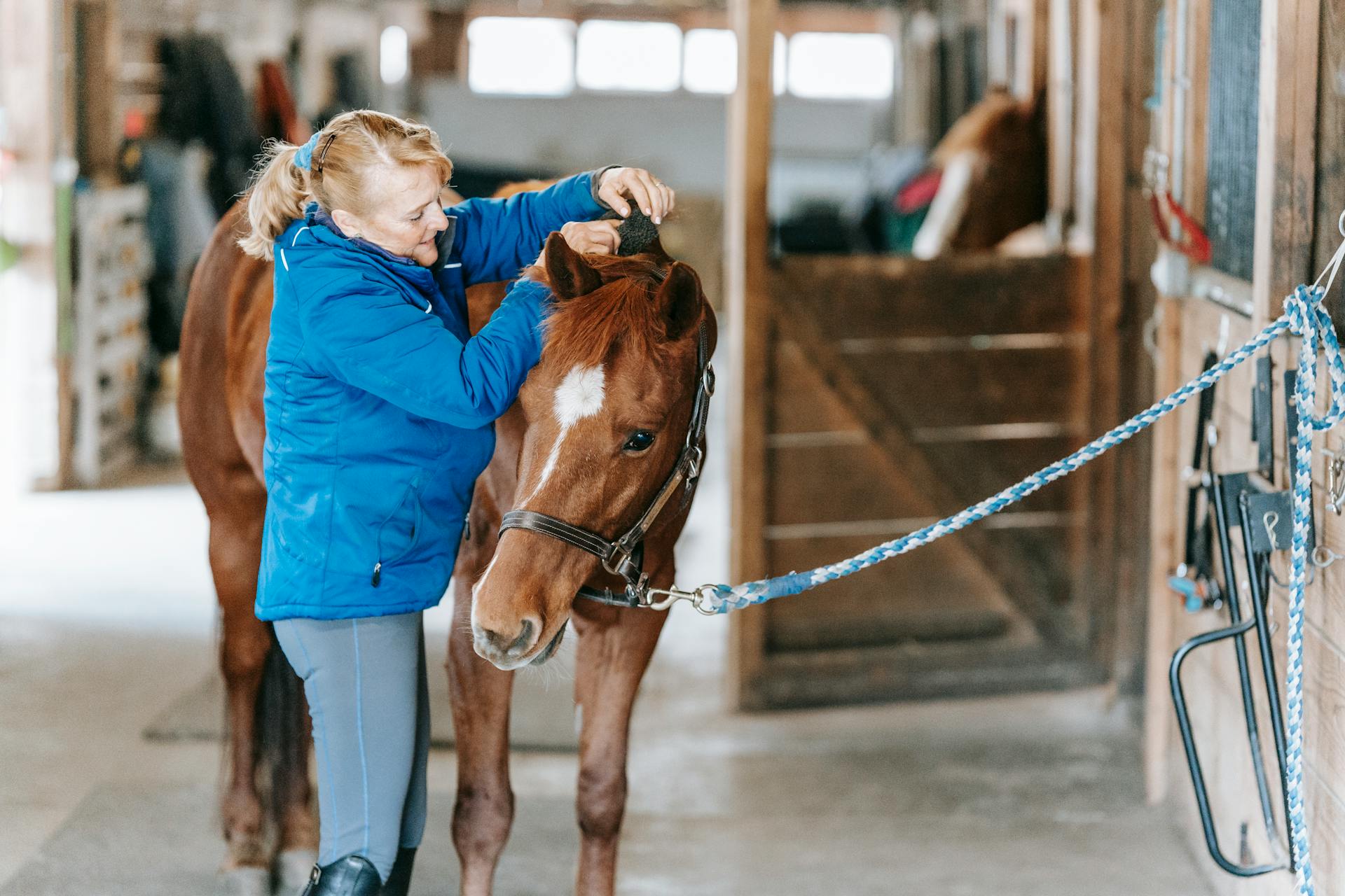 What Are the Must-have Amenities for the Equestrian Homeowner?