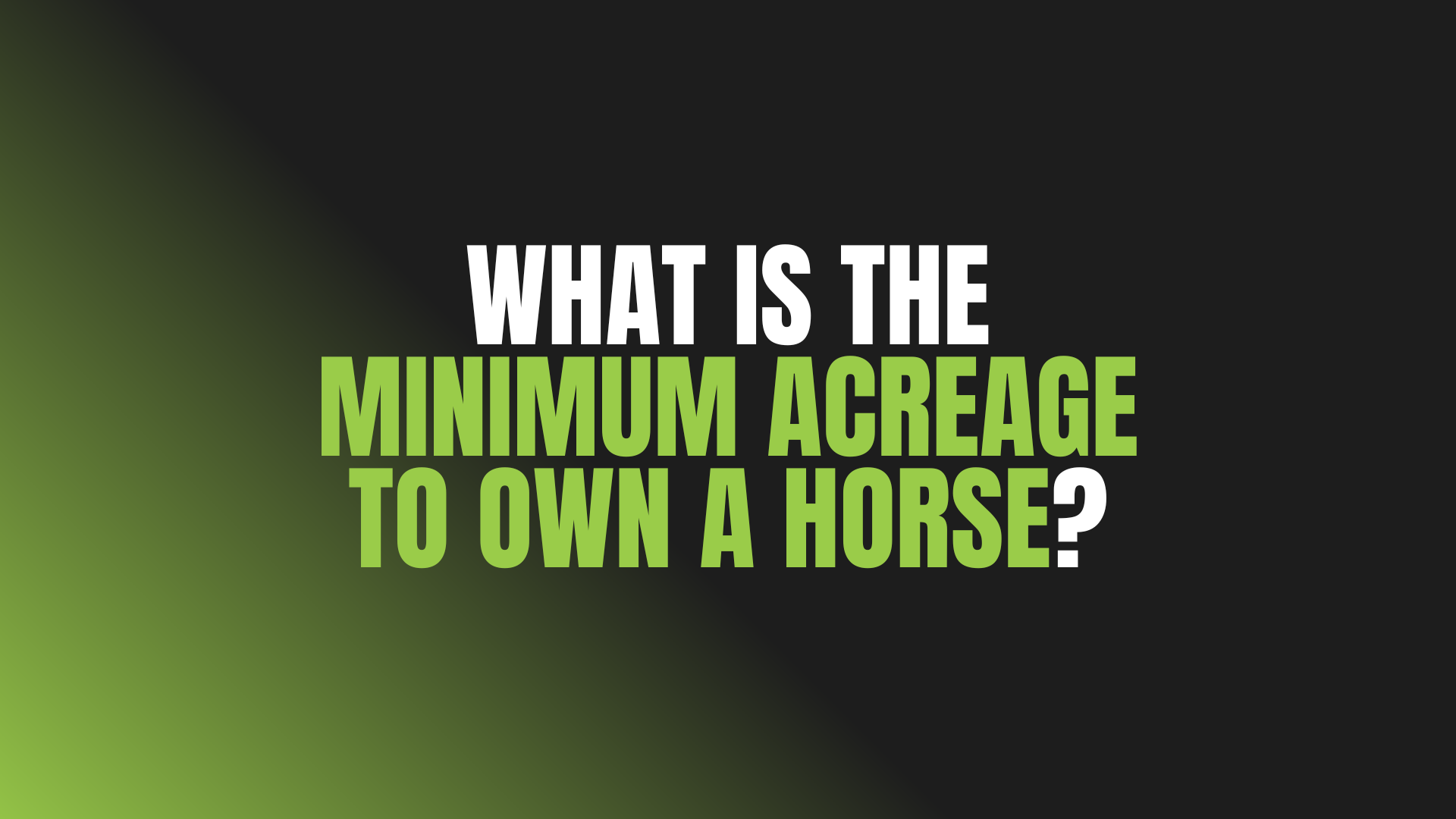 What Is the Minimum Acreage to Own a Horse?