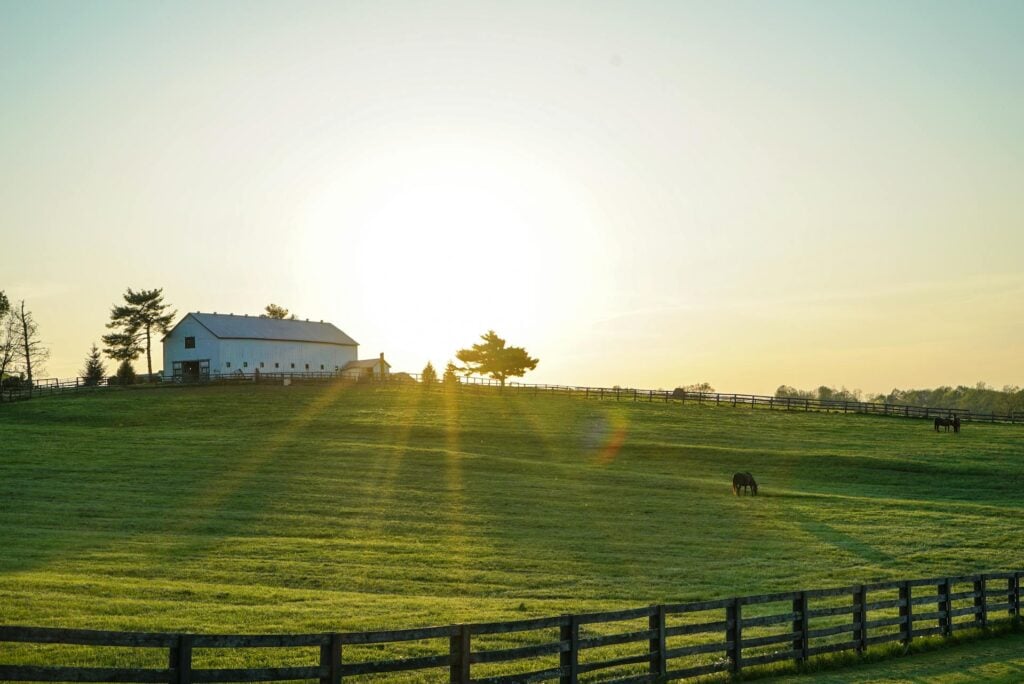 What Easements Must Equestrian Buyers Verify?