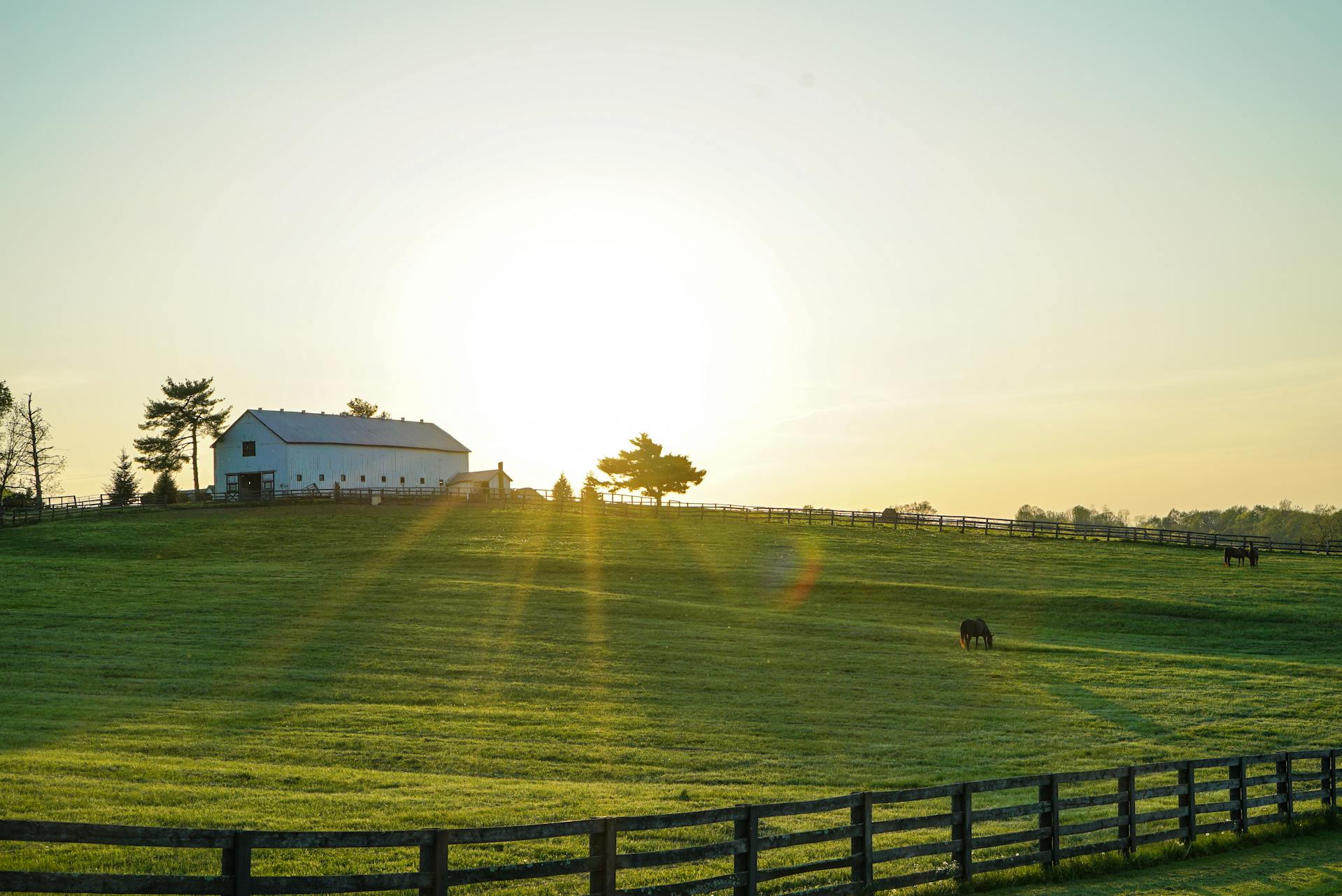 What Easements Must Equestrian Buyers Verify?