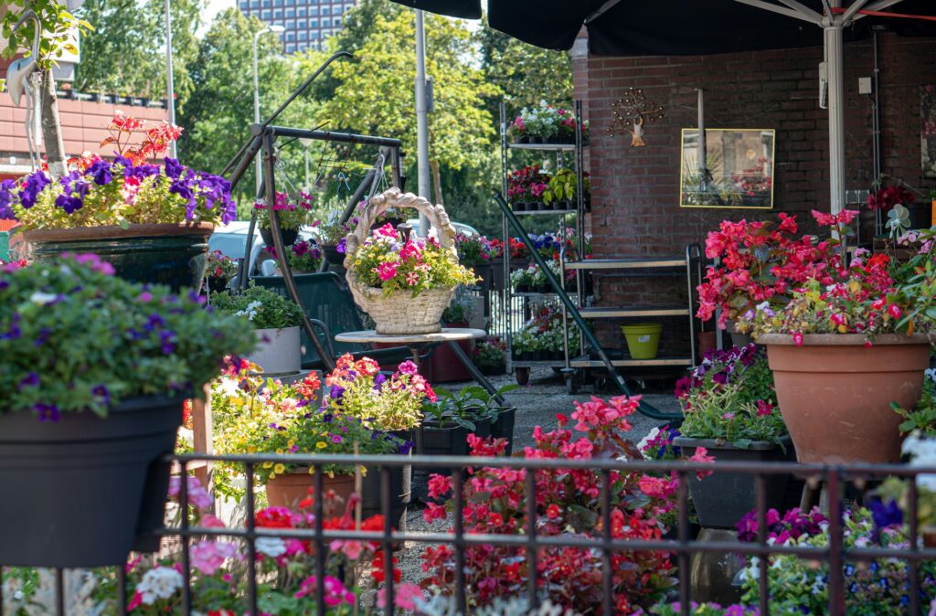 How Do You Transition From a Garden to a Balcony After Downsizing?